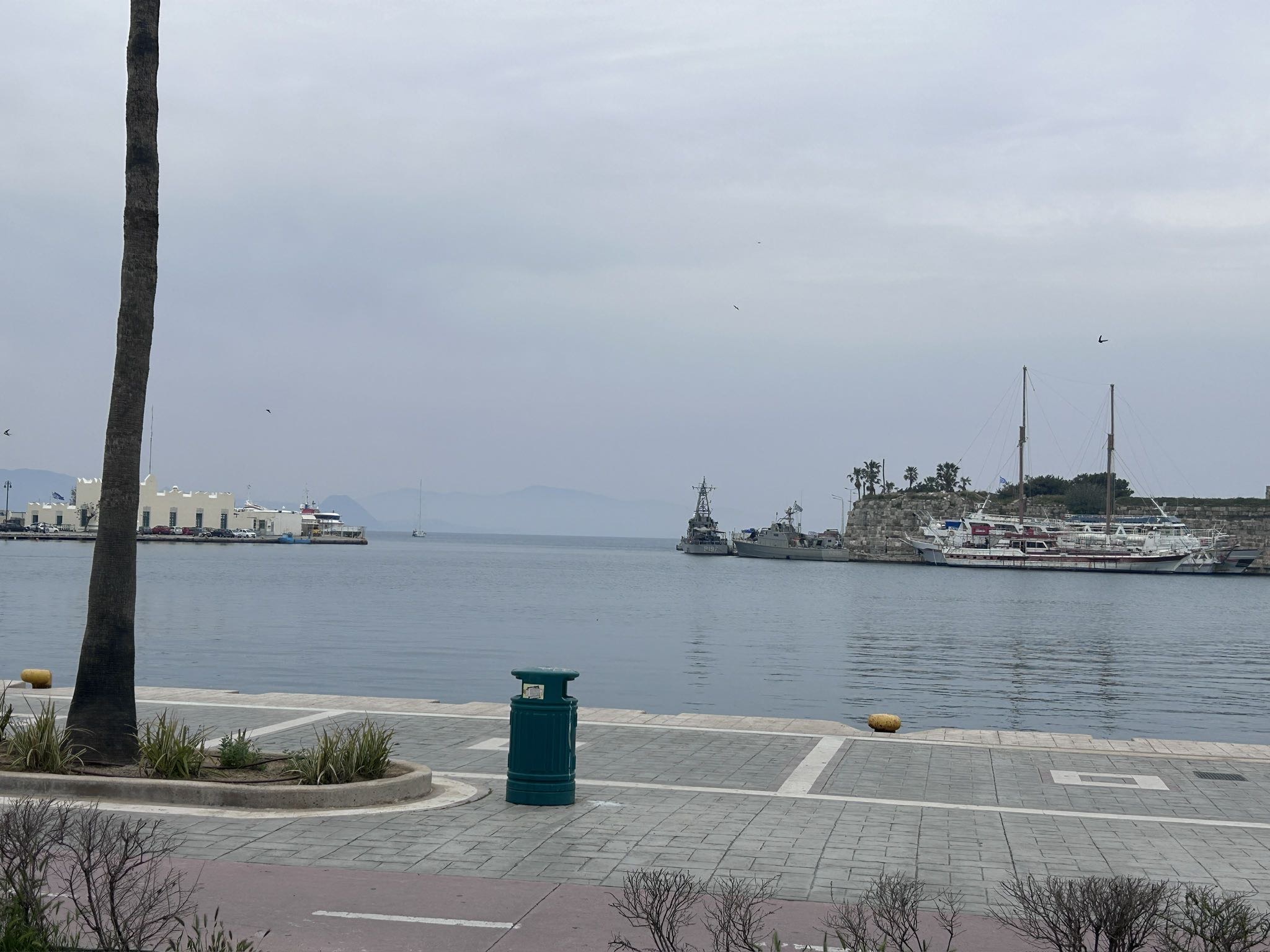 IMG_7313.jpeg